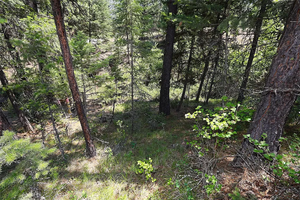 Nhn Heir Loom Way Plains MT 59859