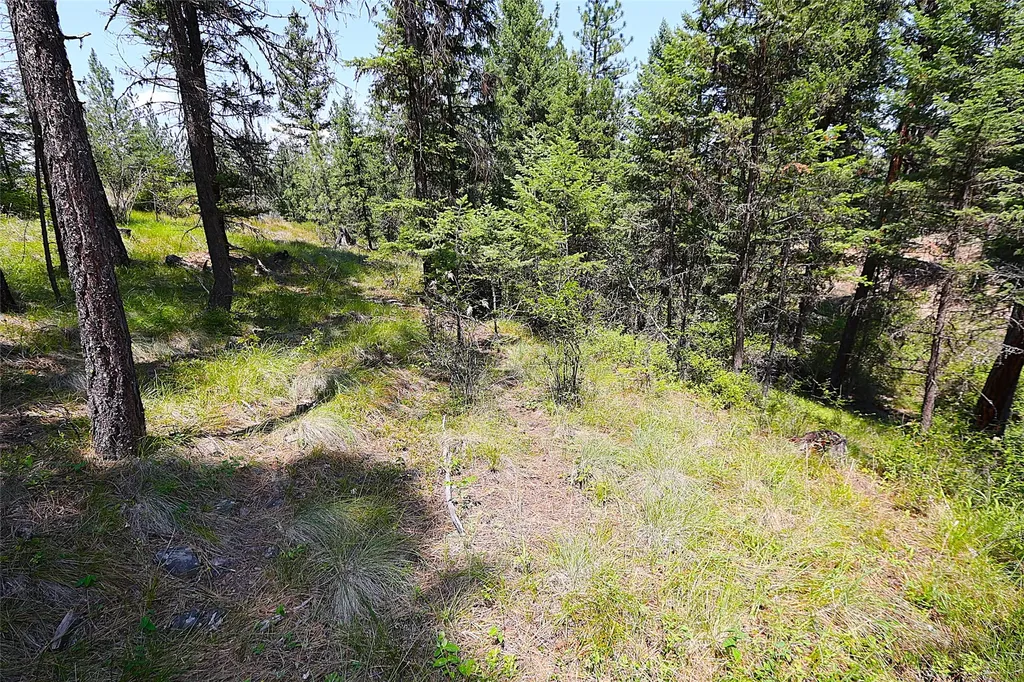 Nhn Heir Loom Way Plains MT 59859