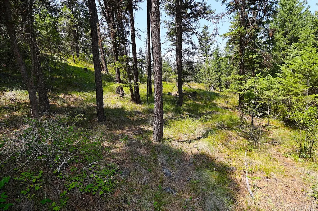 Nhn Heir Loom Way Plains MT 59859