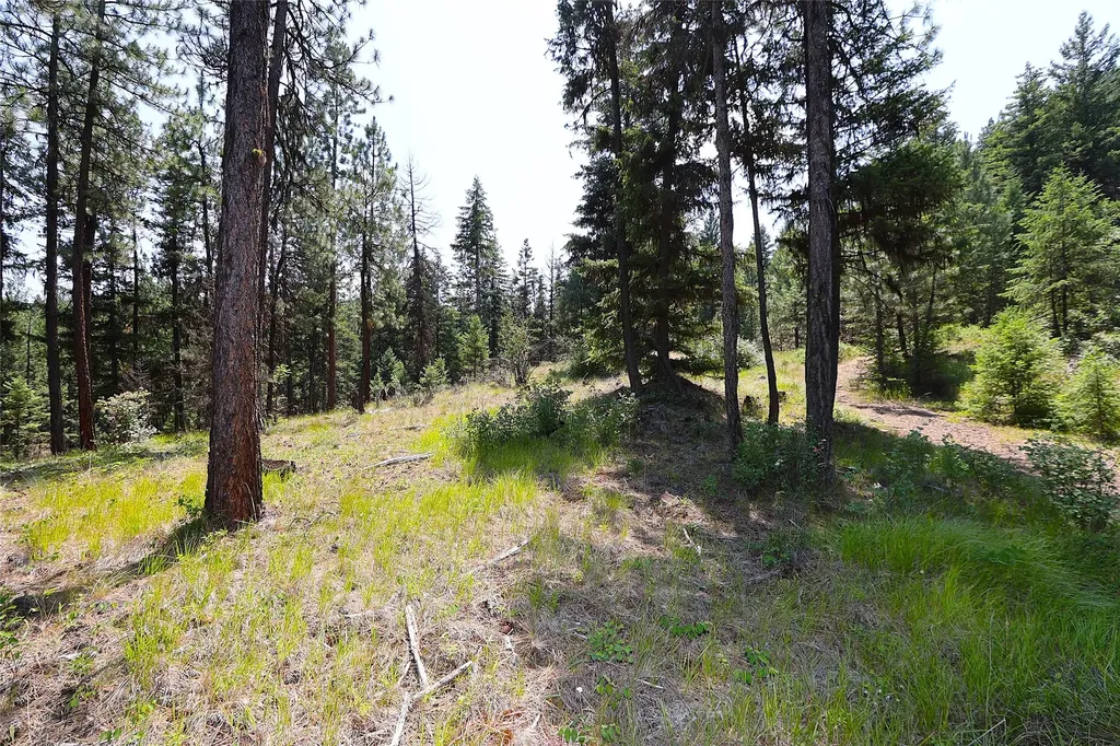 Nhn Heir Loom Way Plains MT 59859