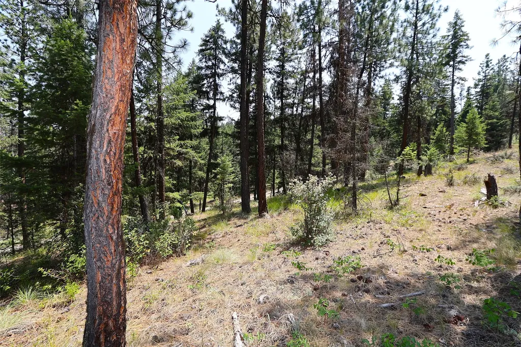 Nhn Heir Loom Way Plains MT 59859