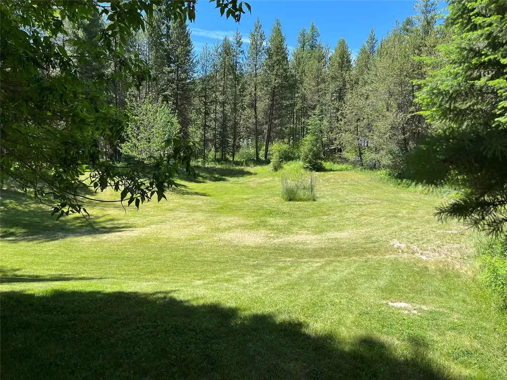 176 Cougar Meadow Drive St Regis MT 59866