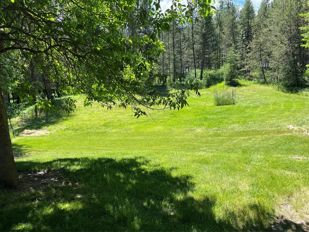 176 Cougar Meadow Drive St Regis MT 59866