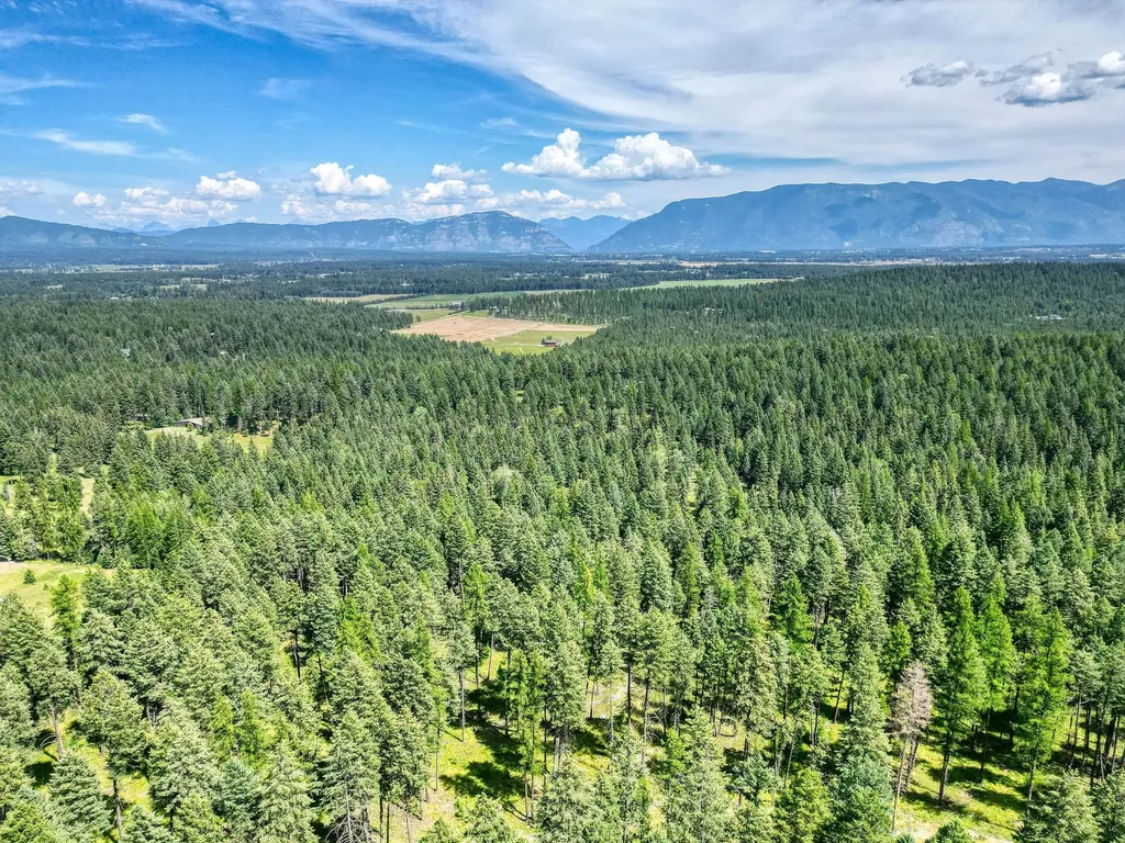 316 Sandalwood Lane Whitefish MT 59937