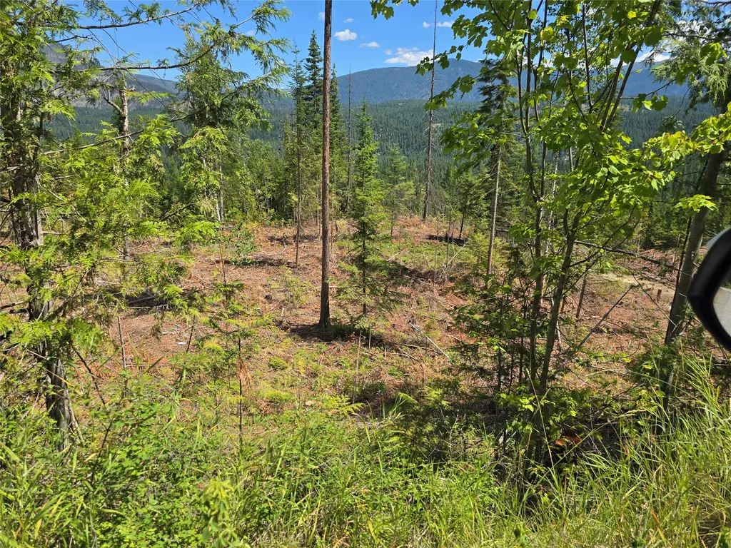 Nhn S Side Road Troy MT 59935