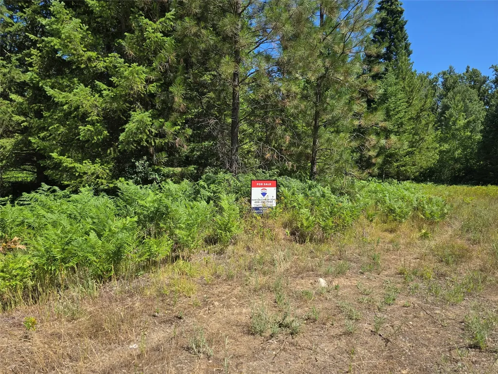 Nhn S Side Road Troy MT 59935