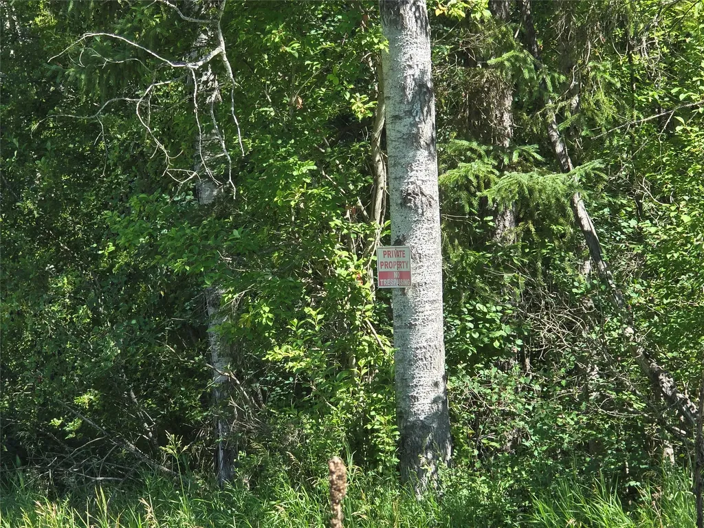 Nhn S Side Road Troy MT 59935