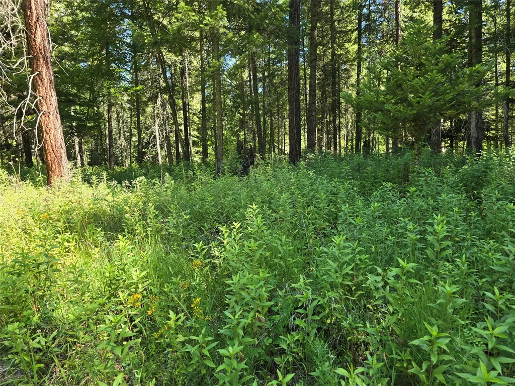 Nhn S Side Road Troy MT 59935