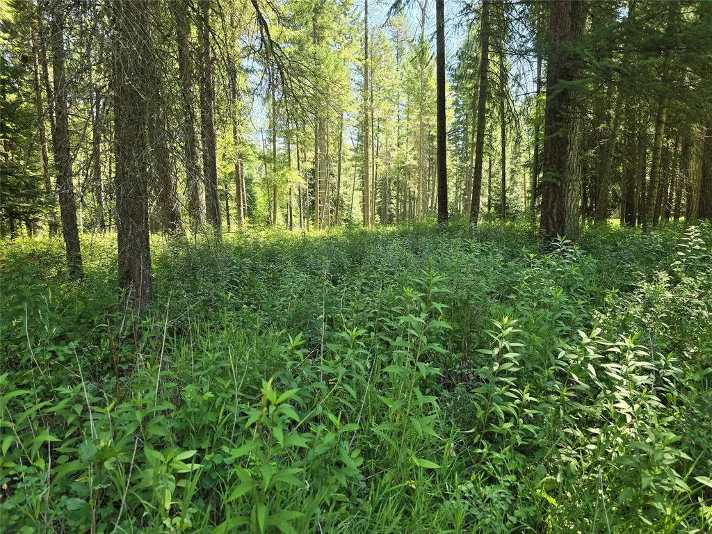 Nhn S Side Road Troy MT 59935