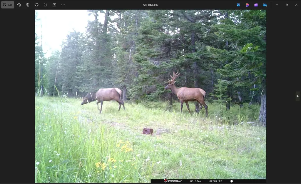 3039 And 3005 Foothill Road Kalispell MT 59901