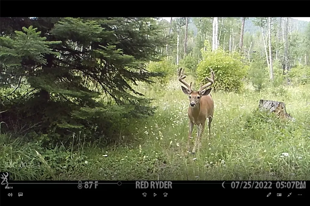 3039 And 3005 Foothill Road Kalispell MT 59901