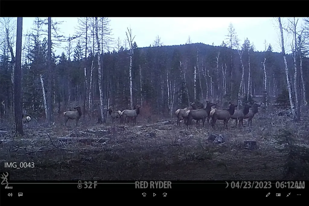 3039 And 3005 Foothill Road Kalispell MT 59901