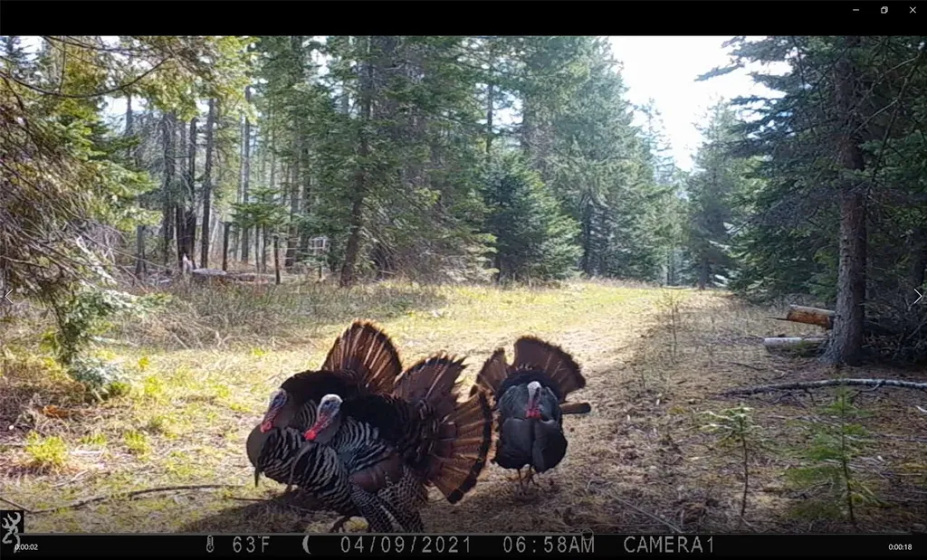 3039 And 3005 Foothill Road Kalispell MT 59901