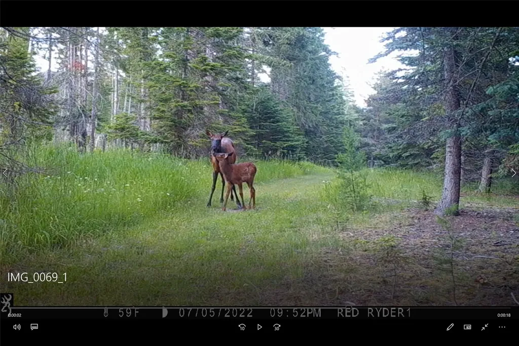 3039 And 3005 Foothill Road Kalispell MT 59901