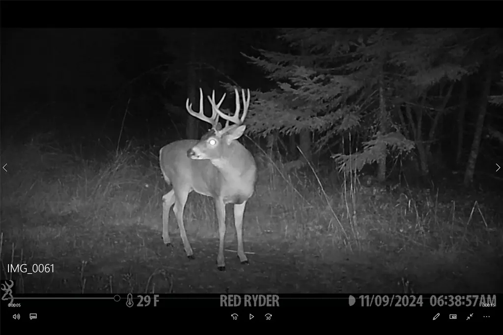 3039 And 3005 Foothill Road Kalispell MT 59901