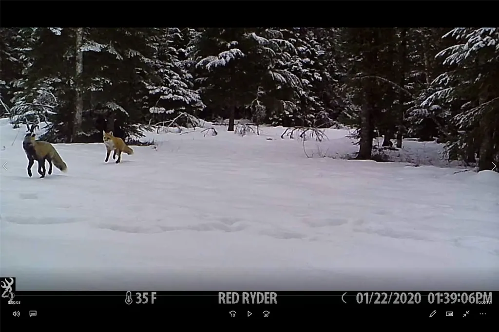 3039 And 3005 Foothill Road Kalispell MT 59901