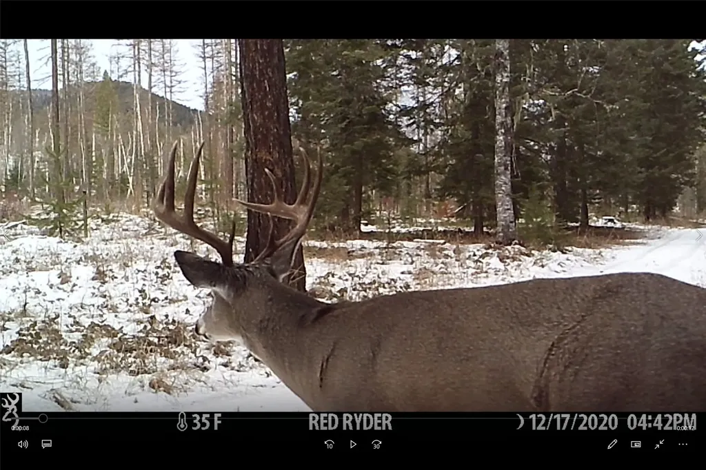 3039 And 3005 Foothill Road Kalispell MT 59901