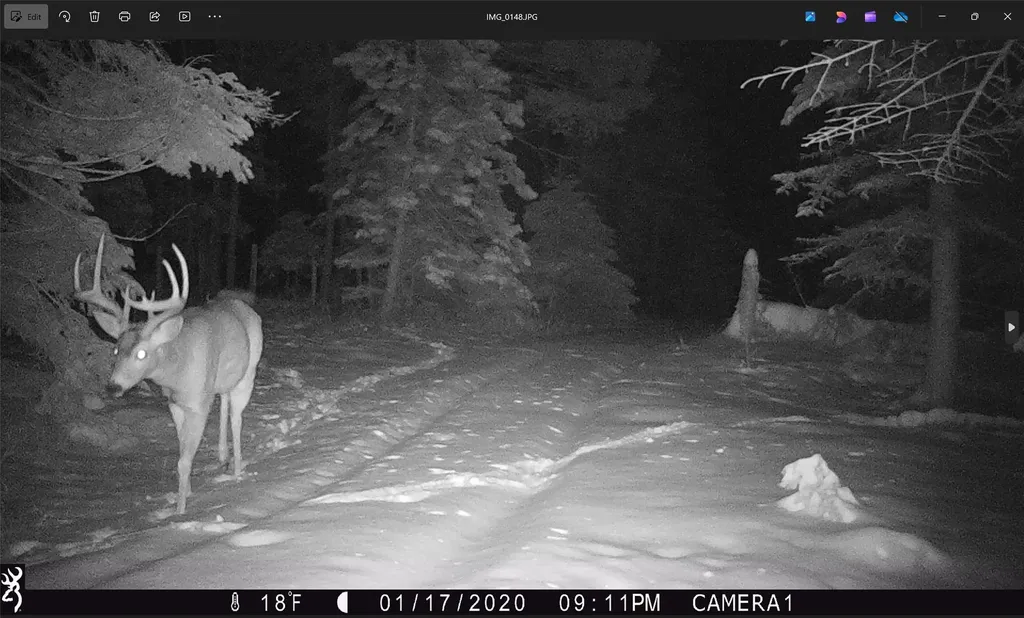 3039 And 3005 Foothill Road Kalispell MT 59901