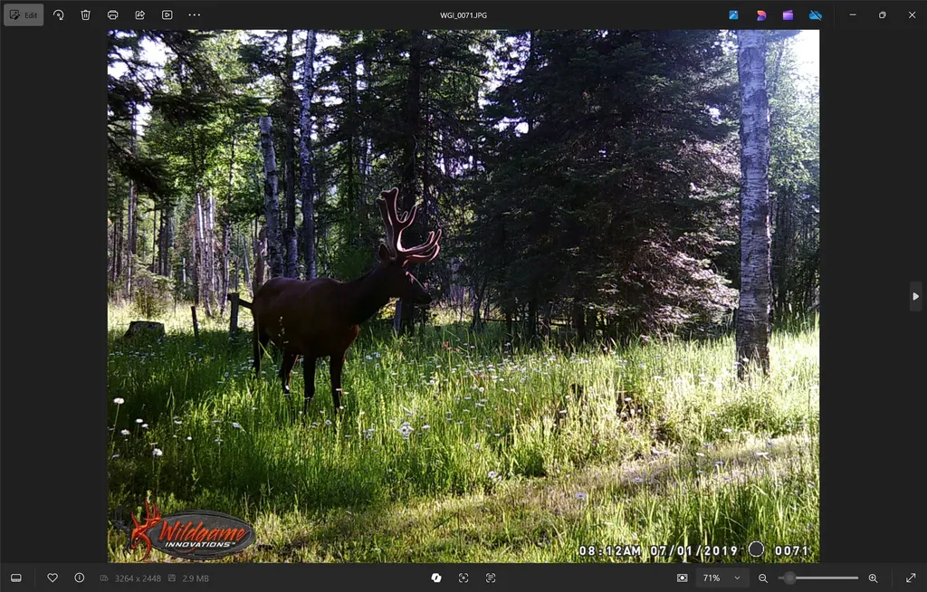 3039 And 3005 Foothill Road Kalispell MT 59901