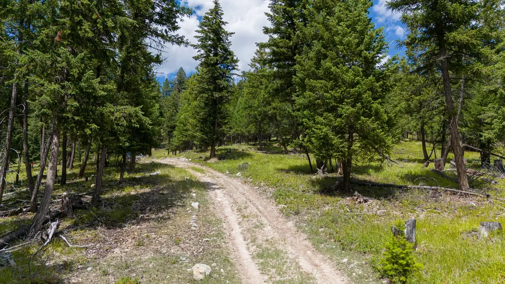 Nhn Coon Hollow Road Kila MT 59920