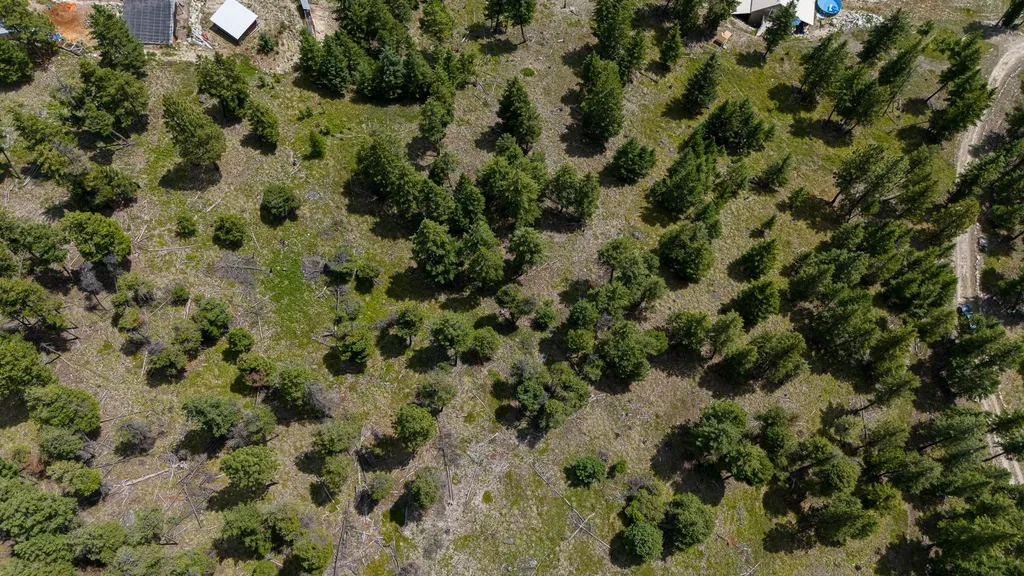 Nhn Coon Hollow Road Kila MT 59920