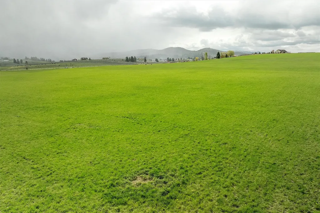 4283 Burro Lane Stevensville MT 59870