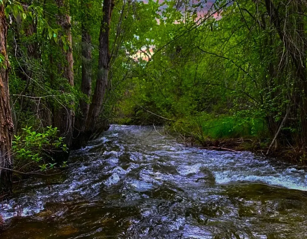 2291 Meridian Road Victor MT 59875