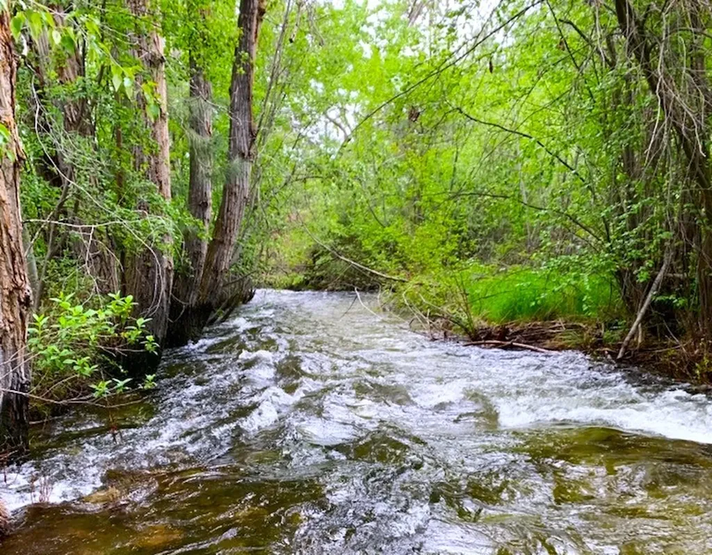 2291 Meridian Road Victor MT 59875