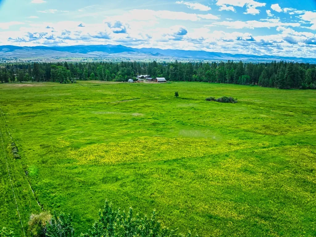 2291 Meridian Road Victor MT 59875