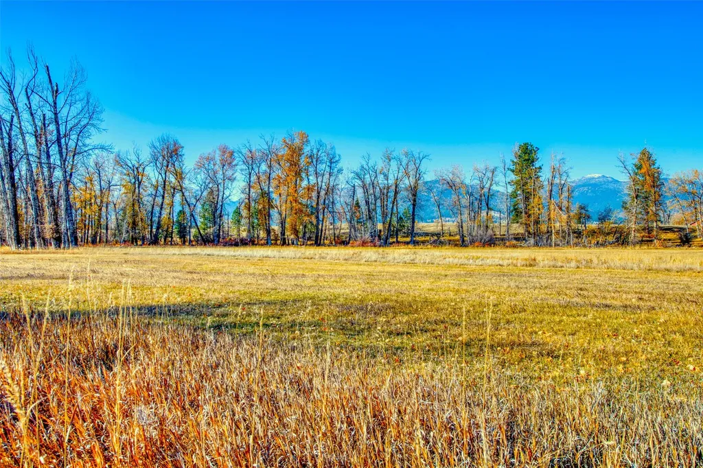 2291 Meridian Road Victor MT 59875