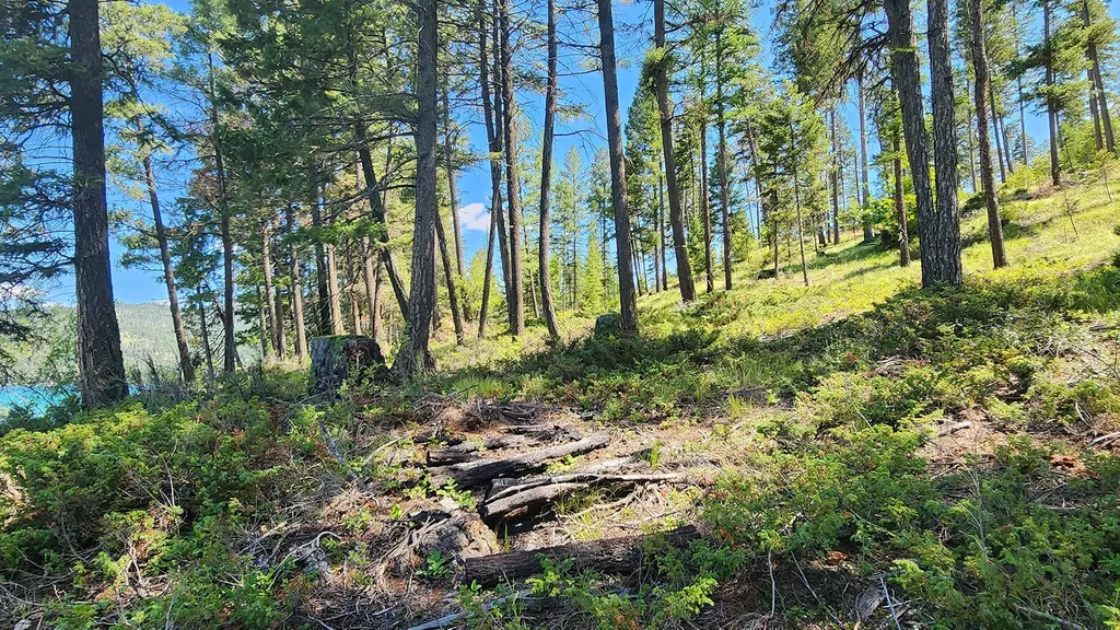 Nhn S Ashley Lake Road Kalispell MT 59901