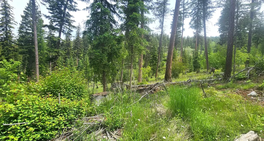 Nhn S Ashley Lake Road Kalispell MT 59901