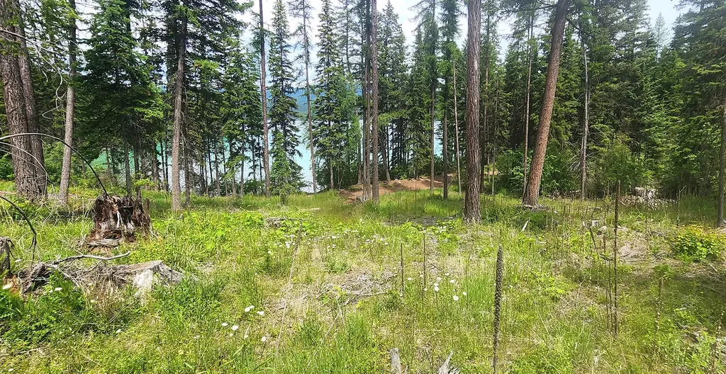 Nhn S Ashley Lake Road Kalispell MT 59901