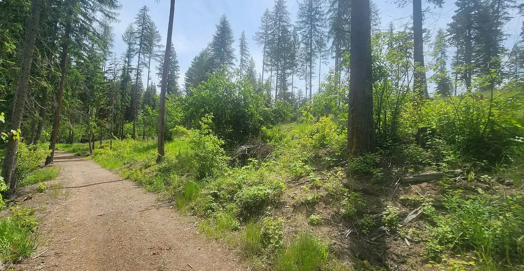 Nhn S Ashley Lake Road Kalispell MT 59901