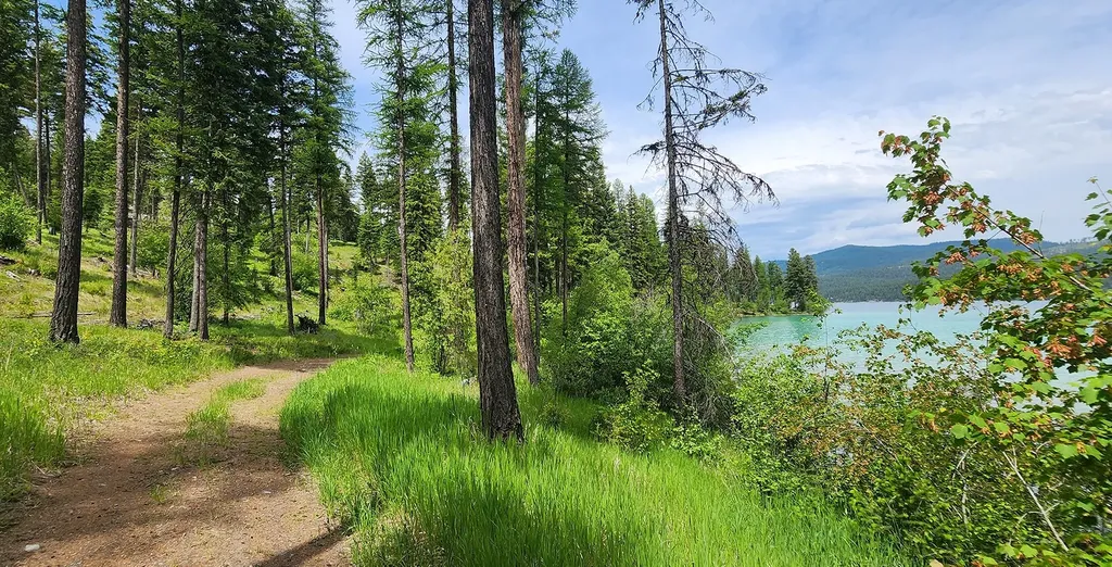 Nhn S Ashley Lake Road Kalispell MT 59901