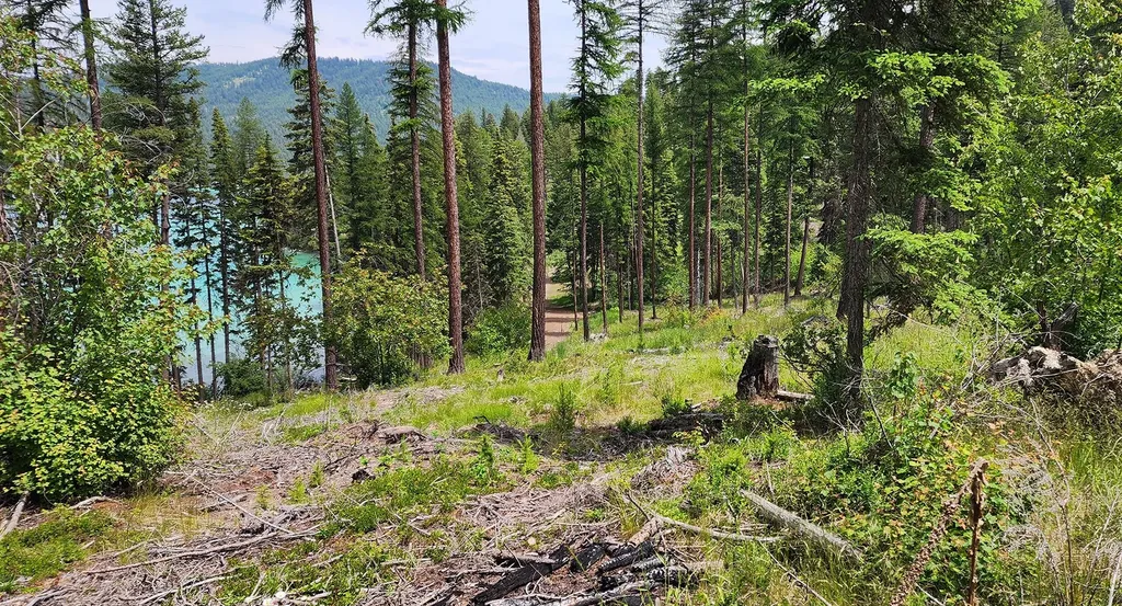 Nhn S Ashley Lake Road Kalispell MT 59901