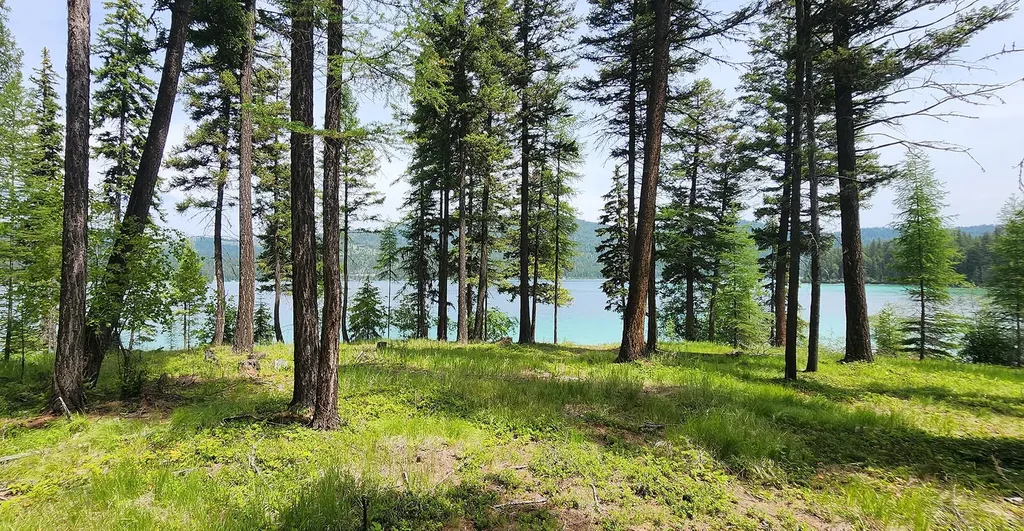 Nhn S Ashley Lake Road Kalispell MT 59901