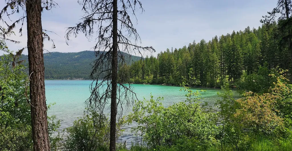 Nhn S Ashley Lake Road Kalispell MT 59901
