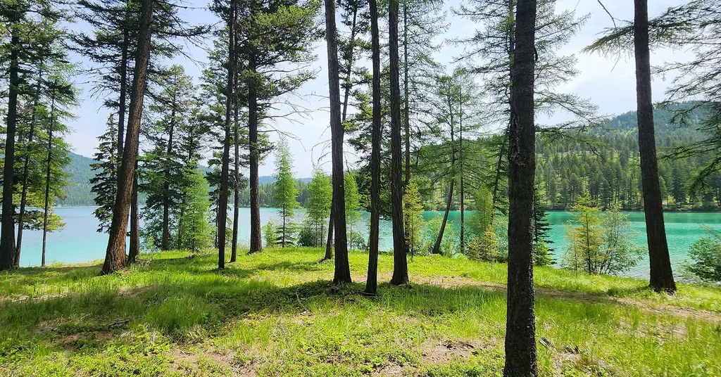 Nhn S Ashley Lake Road Kalispell MT 59901