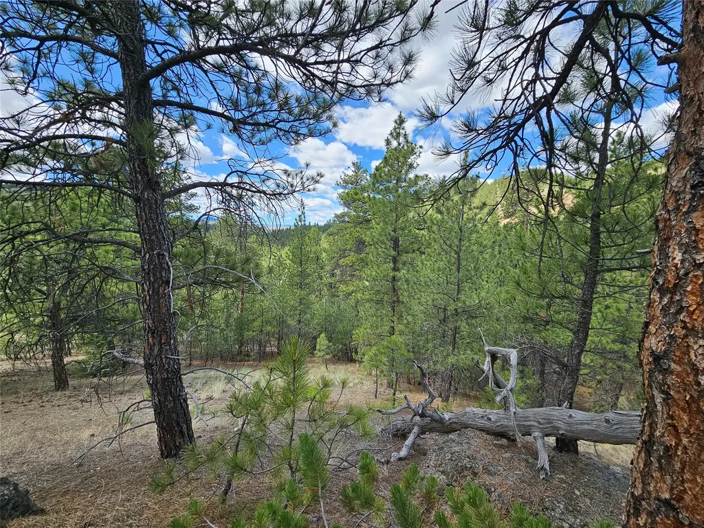 218 Upper Sawmill Creek Lane Cascade MT 59421