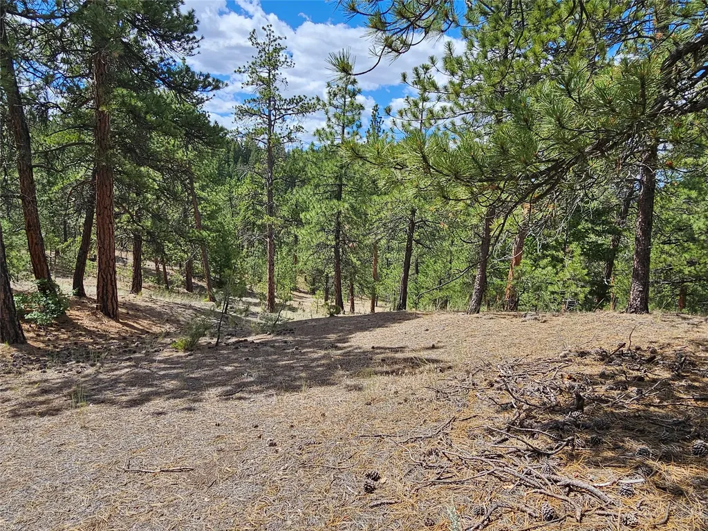 218 Upper Sawmill Creek Lane Cascade MT 59421