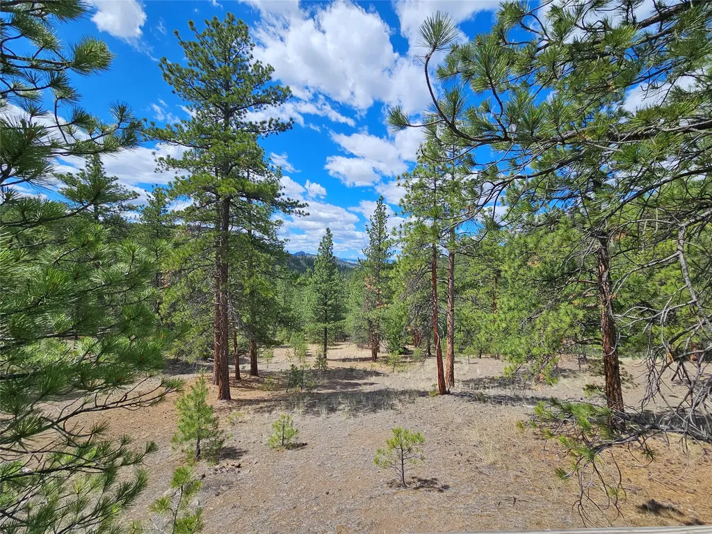 218 Upper Sawmill Creek Lane Cascade MT 59421