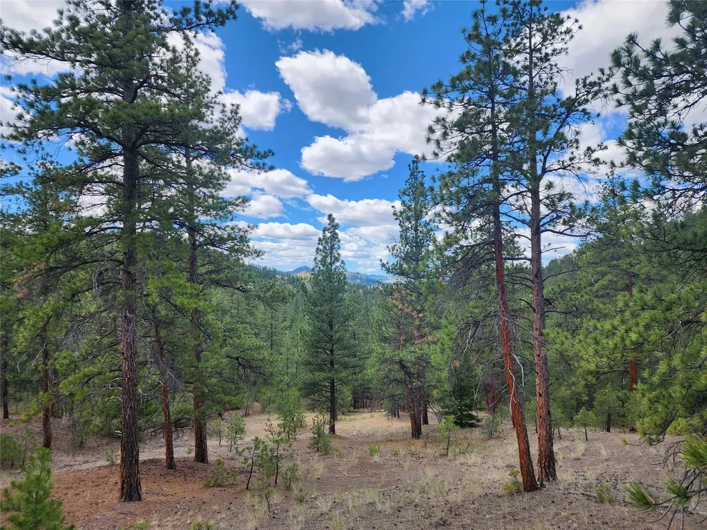 218 Upper Sawmill Creek Lane Cascade MT 59421