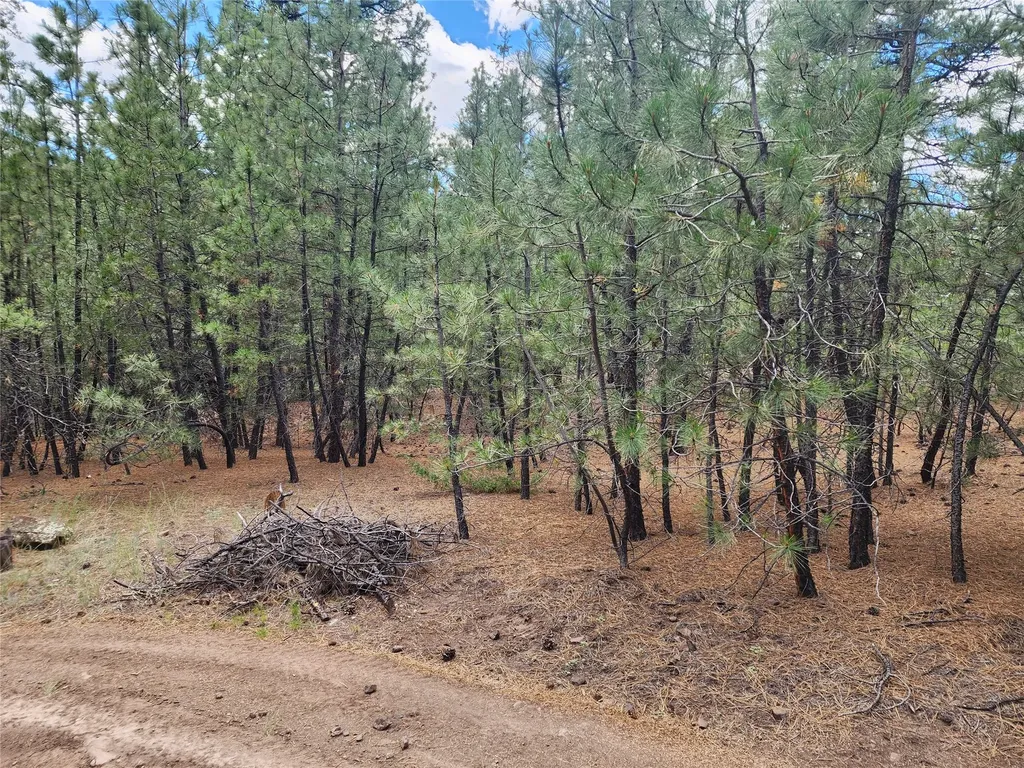 218 Upper Sawmill Creek Lane Cascade MT 59421