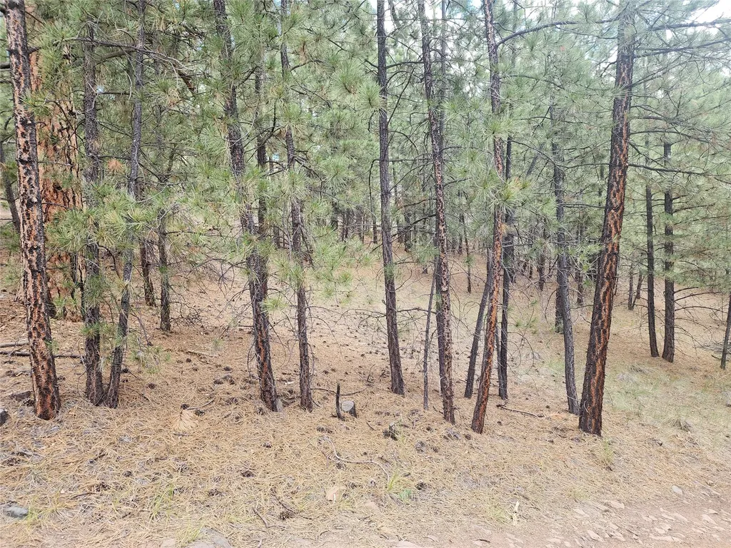 218 Upper Sawmill Creek Lane Cascade MT 59421