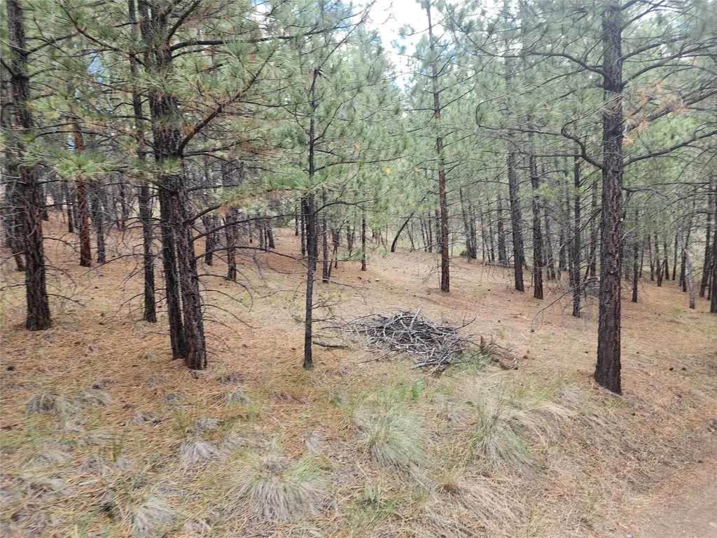 218 Upper Sawmill Creek Lane Cascade MT 59421