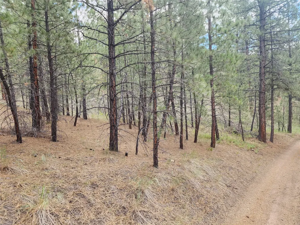 218 Upper Sawmill Creek Lane Cascade MT 59421