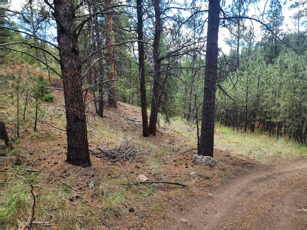 218 Upper Sawmill Creek Lane Cascade MT 59421