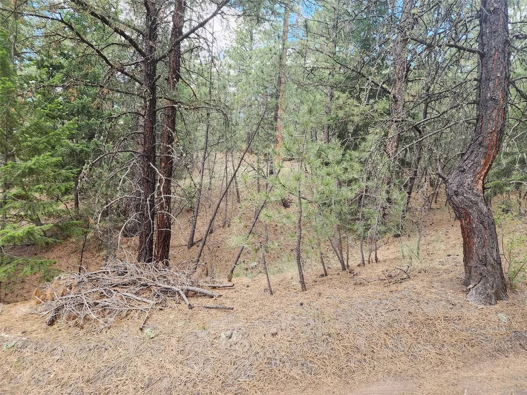 218 Upper Sawmill Creek Lane Cascade MT 59421
