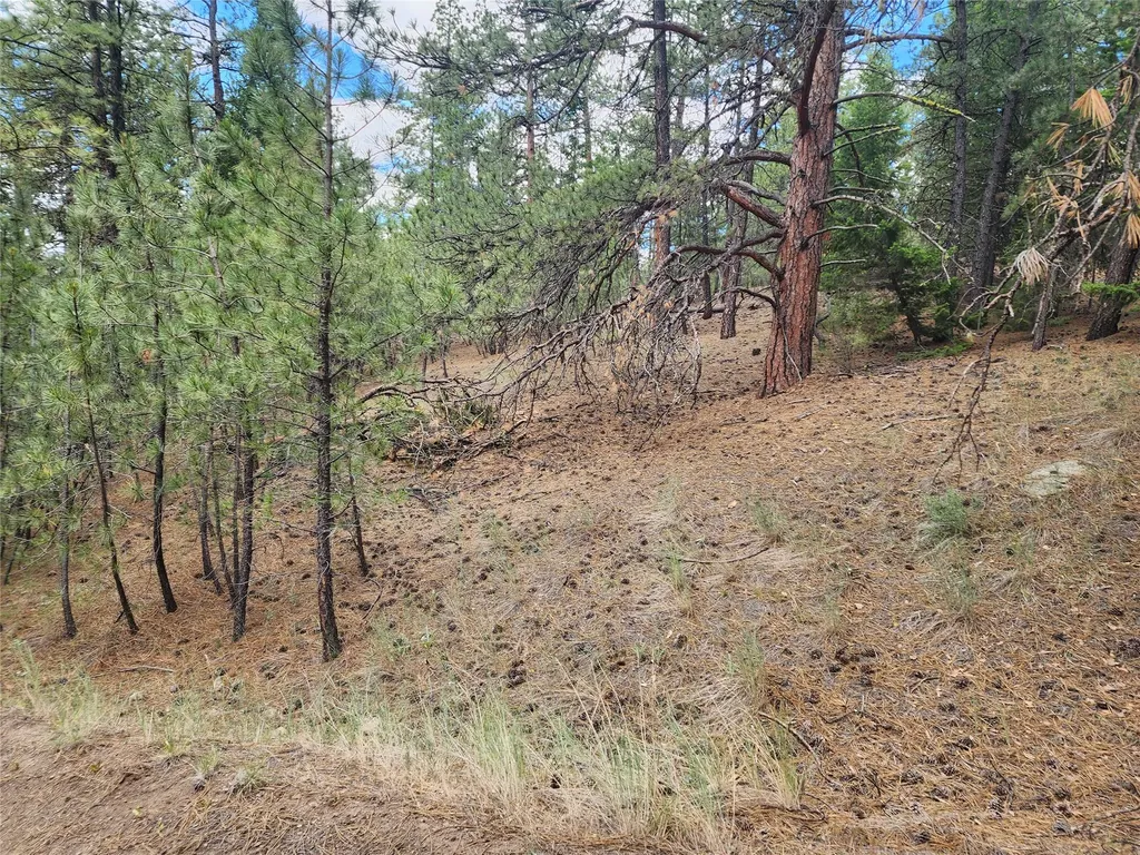 218 Upper Sawmill Creek Lane Cascade MT 59421